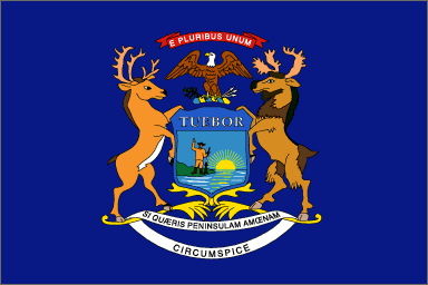 Michigan flag denoting local kitchen designers