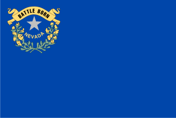 Nevada flag denoting local kitchen designers