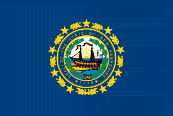 New Hampshire flag denoting local kitchen designers