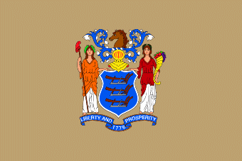 New Jersey flag denoting local kitchen designers