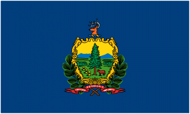 Vermont flag denoting local kitchen designers